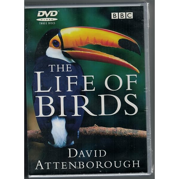 Attenborough in Paradise & Other Personal Voyages [DVD] [1996